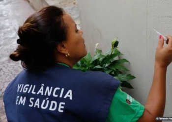 estado-de-sao-paulo-tem-sete-mortes-por-dengue-em-2024