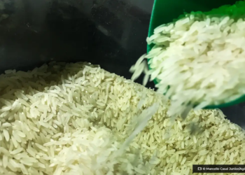 brasil-vai-importar-arroz-para-evitar-especulacao-de-precos
