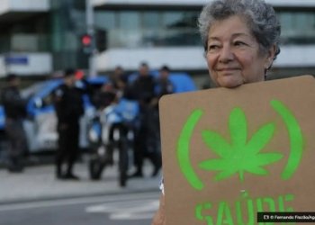 anvisa-defende-manutencao-de-marco-regulatorio-para-cannabis-medicinal