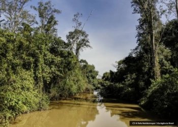 banco-internacional-doa-us$-800-mil-para-criacao-de-museu-da-amazonia