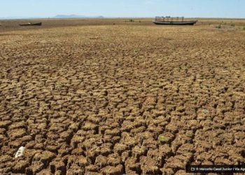 onu-alerta-sobre-a-destruicao-acelerada-do-solo