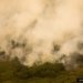 governo-vai-liberar-r$-100-mi-para-combate-a-incendios-no-pantanal