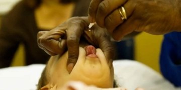 polio:-oms-vacinara-600-mil-criancas-com-menos-de-8-anos-em-gaza